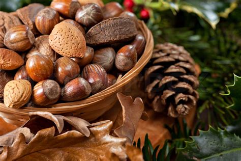 Christmas Nuts Stock Image Colourbox