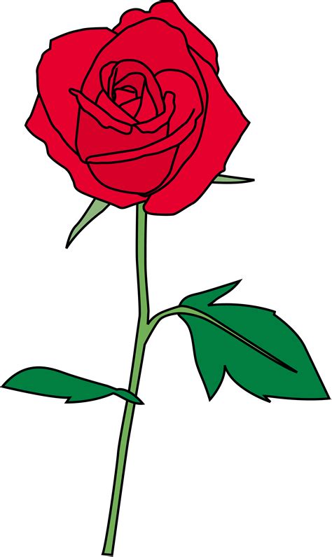 Tse3 Mm Bing Net Th Id Oip Dh3o65xcksk Rld68czucqh