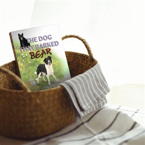 Border Collie Kids Book An Adventurous Tale Of A Dog And A Etsy