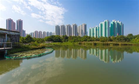 Hong Kong Wetland Park Review
