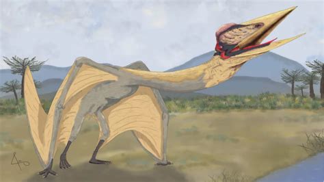 Dragon Of Death Unearthed In Argentina Giant Flying Reptile With 30 Foot Wingspan That Lived