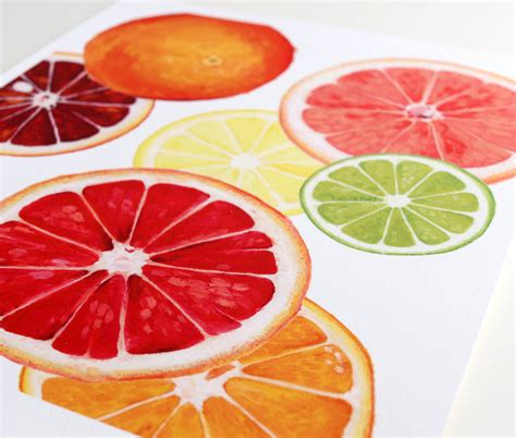 Citrus Fruit Art Print Kellykay