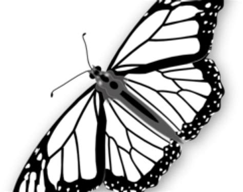 Monarch Butterfly Clipart Butterfly Clip Art Png Download Full