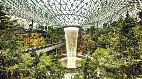 The Importance Of Biophilic Architectural Design Vantage Spaces