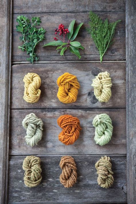 How To Make Mordants For Natural Dyes DIY MOTHER EARTH NEWS Natural Dye Fabric How To Dye