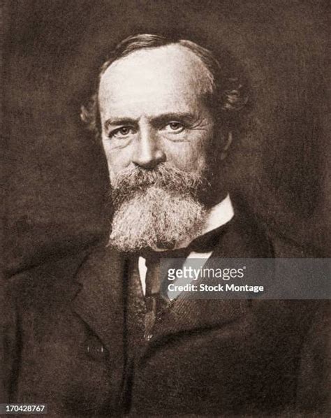 William James Photos And Premium High Res Pictures Getty Images