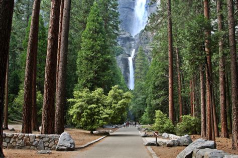 Lower Yosemite Falls Yosemite Hikes