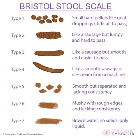 Bristol Stool Scale 3 Or 4 Is Perfect The Flower Empowered