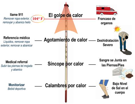 Nasd Enfermedades Por Calor