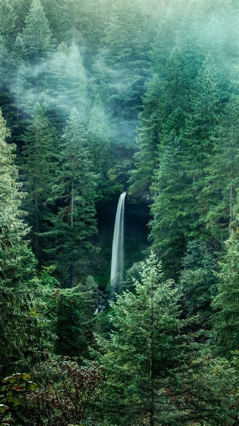 A View Of The North Falls Waterfall In Silver Falls State Park Oregon
