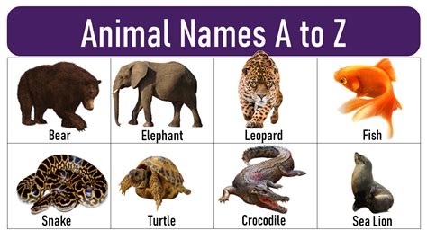 400 Animal Names From A To Z English Grammar Pdf