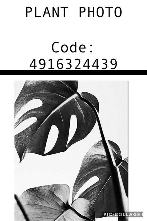 Plant Photo Decal Roblox Pictures Bloxburg Decal Codes Photo