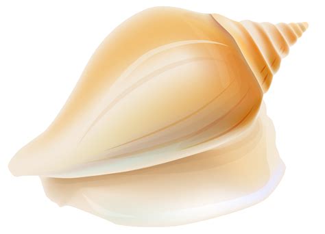 Seashell Clip Art Sea Shells Clip Art Seashells Clipartix
