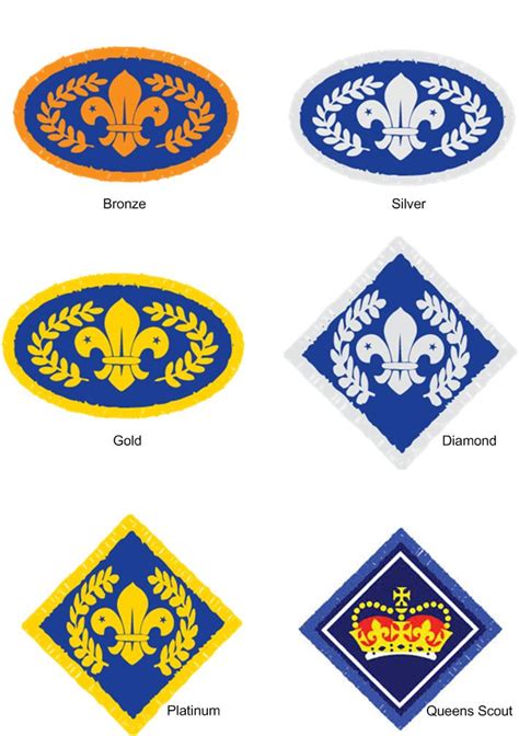 Collectables Current Uk Scouting Chief Scouts Gold Award Badge Rfeie