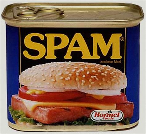 What does spam stand for? KAUKAU TIME!--"Kaukau" is a Hawaiian pidgin slang word ...