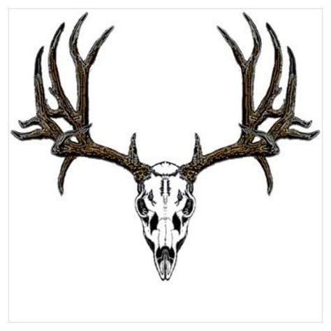 Whitetail Deer Skull Drawings Free Download On Clipartmag