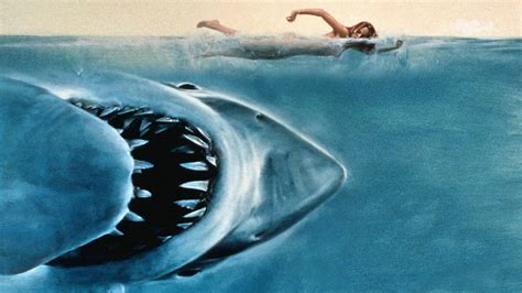 Der Weiße Hai Kritik Film 1975 Moviebreakde