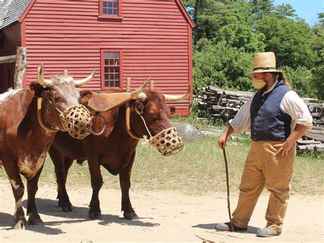 Old Sturbridge Village July 4 Reopening Includes Masked Reenactors