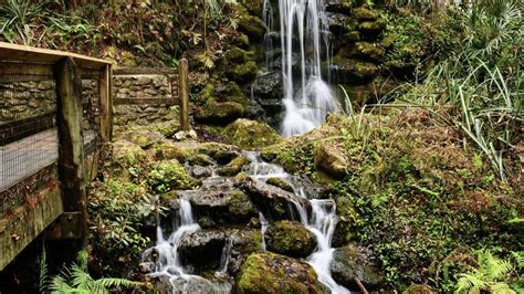 Enchanting Waterfalls In Florida To Treat The Naturalist In You