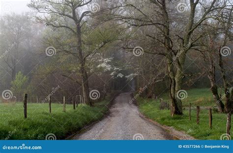 Gravel Road Through The Mountains Stock Photo Image Of Scene