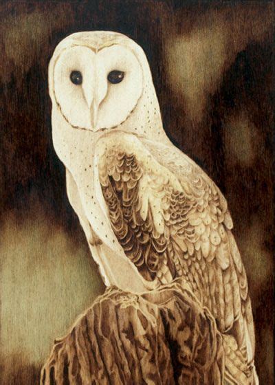 Even if you use a stencil for your design, you can choose to add family names or dates to any of the projects. Barn Owl on Stump (sold) burned on wood with oil paint - pyrographic illustration by Cate ...
