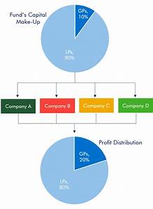 The Ultimate Guide To Equity The Dvs Group