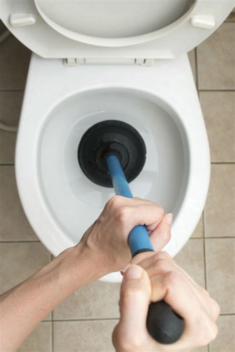 What To Do If You Clog A Toilet Mike Diamond Services