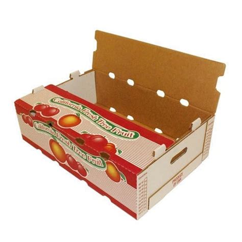 Single Phase 2 Ply Cardboard Fruit Packaging Box At Rs 50 In Vasai Virar