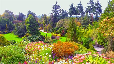 846946 4k Queen Elizabeth Garden Canada Gardens Roses Vancouver