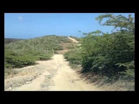 Rancho Daimari Aruba 2013 YouTube