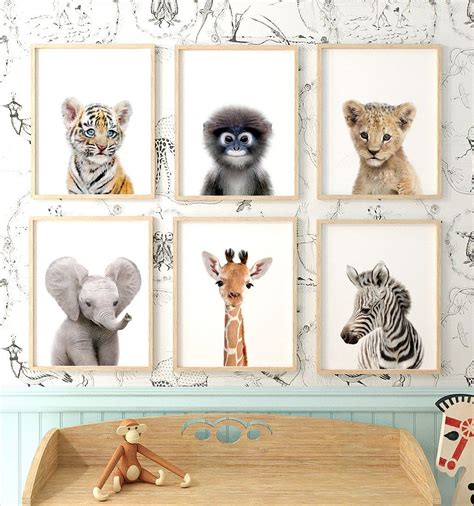 Safari Animal Prints Set Of 6 Baby Animals Africa And Asia The