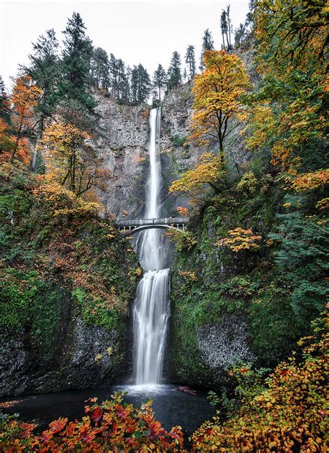 Multnomah Falls Autumn Photograph By Wes And Dotty Weber