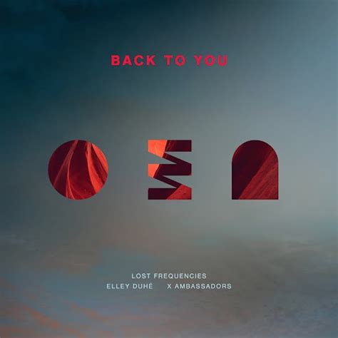 Back To You Lost Frequencies Elley Duhé X Ambassadors Lyrics In English