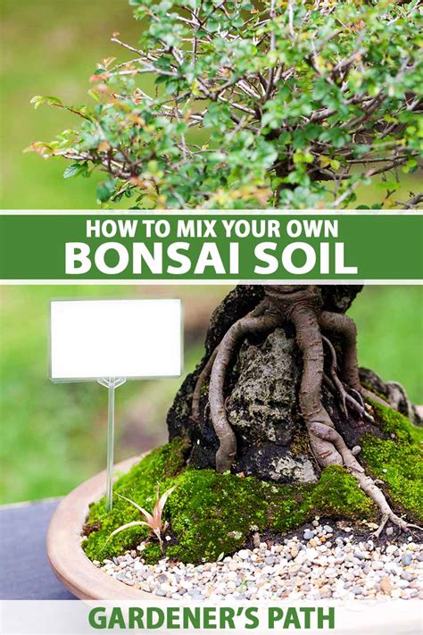 How To Mix Your Own Bonsai Soil To Grow Healthy Plants