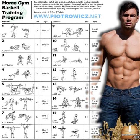 If you are working out at home, make sure that you warm up your body before starting the exercise. Home Gym Barbell Training Program - Full Body Workout Plan ...
