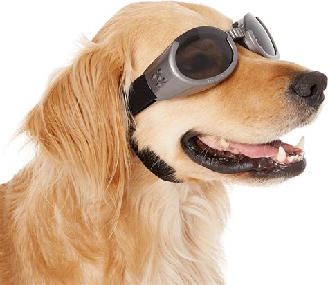 The Best Dog Goggles For 2022 Reviewed And Ranked Az Animals