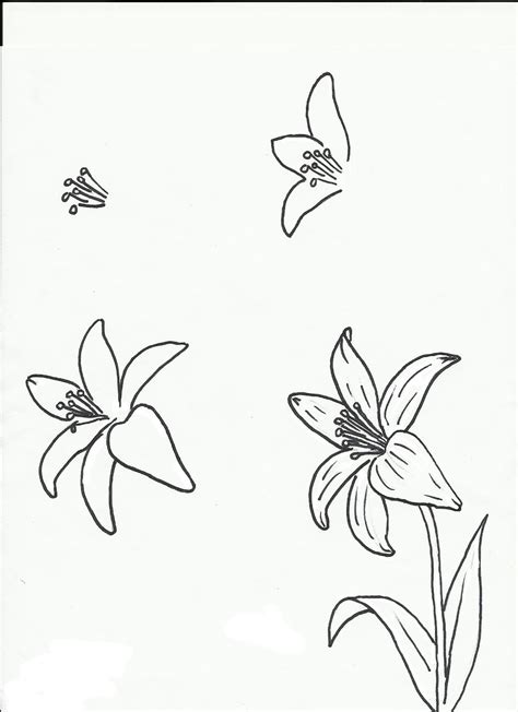 Maybe you would like to learn more about one of these? Step By Step Drawing Flowers Beginner at GetDrawings ...
