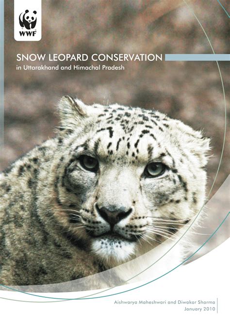 Pdf Snow Leopard Conservation In Uttarakhand And Himachal Pradesh