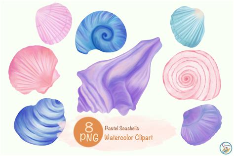 Watercolor Elements Pastel Seashells Graphic By Charming2493
