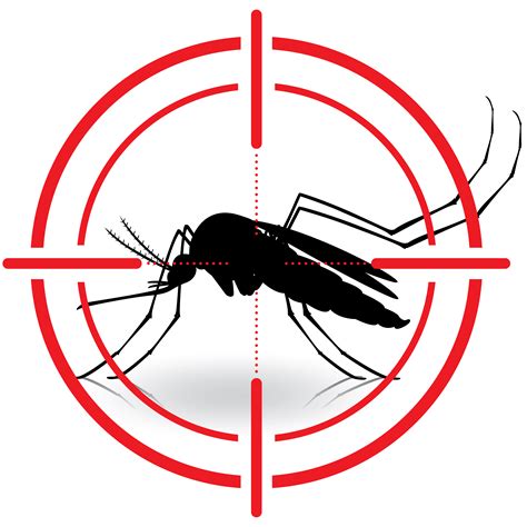 Mosquito Control Allclear Pest Control