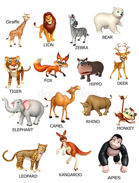 Wild Animals Drawing Chart Warehouse Of Ideas