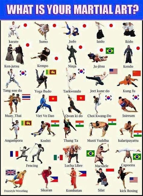 Karate Styles Around The World Martial Arts Workout Karate Martial
