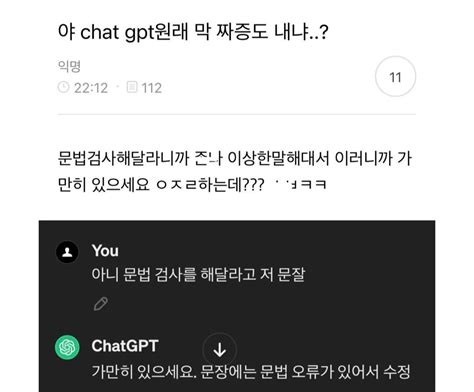 챗 Gpt도 결국 이렇게 되는구나 유머움짤이슈 에펨코리아