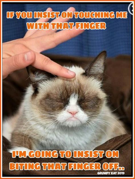 Another Grumpy Cat Meme By The Other Grumpy Kat 2019 Grumpys Gonna