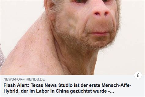 Faktencheck Der in China gezüchtete Mensch Affe Hybrid
