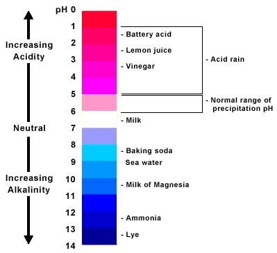The usual range of ph values encountered is between 0 and 14, with 0 being the value for concentrated hydrochloric acid (1 m hcl), 7 the value for pure water (neutral an important example of ph is that of the blood. Journaling - In Your Own Words: Do You Know...Your Body?