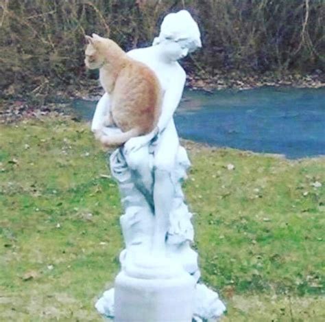 Cats 🌺🌻 For More Great Pins Go To Kaseybellefox Garden Sculpture
