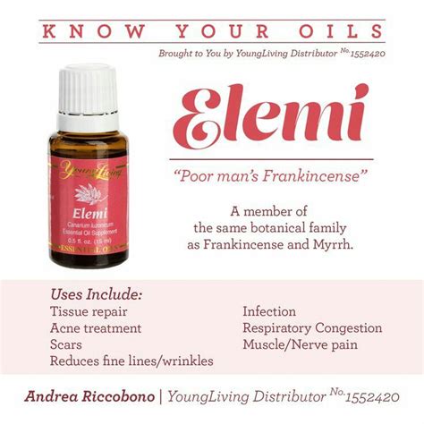 Although idaho tansy oil has some toxic properties, it has proved to be extremely beneficial when it comes to its medicinal and healing. Pin on Elemi Young Living