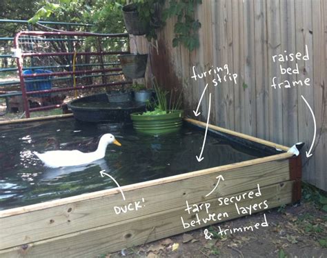 A duck pond in your backyard gives it both the water feature and adds a natural segment. How to Build a No-Dig Backyard Pond for Under $70 | Hawk Hill