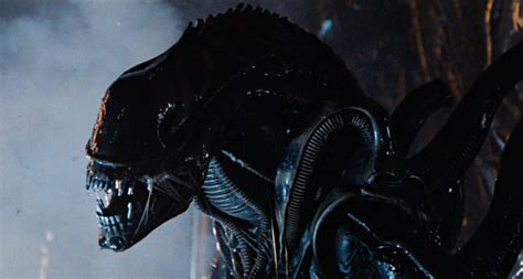 In space no one can hear you scream.. Alien (1979) « Celebrity Gossip and Movie News